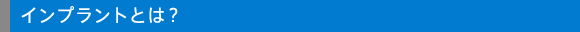 �C���v�����g�Ƃ́H